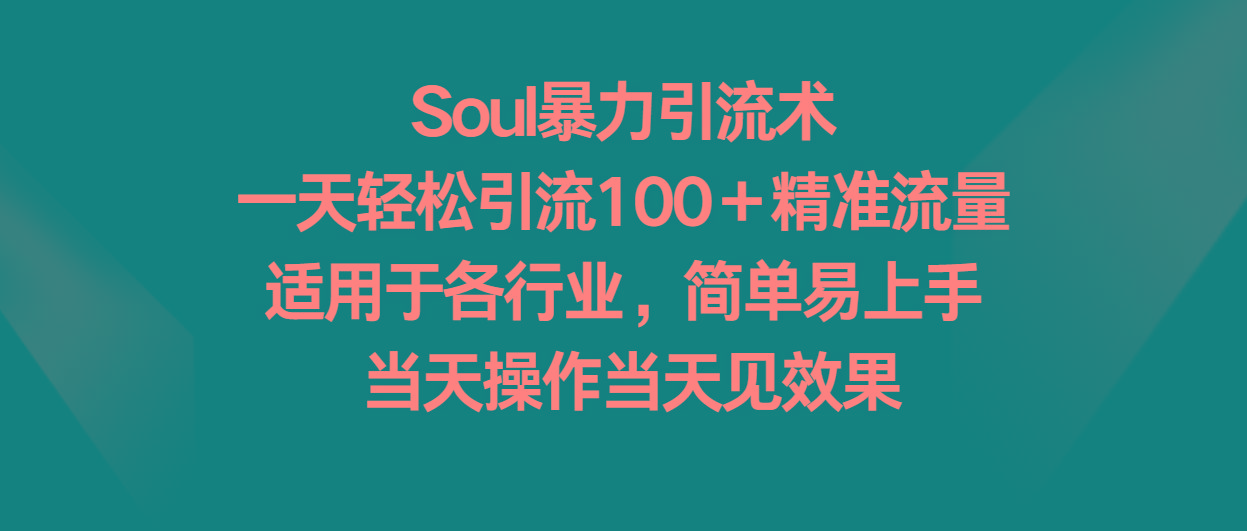 Soul暴力引流术，一天轻松引流100＋精准流量，适用于各行业，简单易上手！-点子口袋网