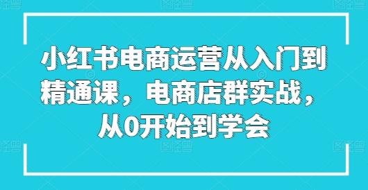 小红书电商运营从入门到精通课，电商店群实战，从0开始到学会-点子口袋网