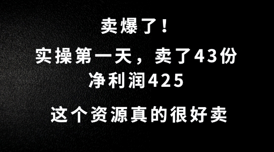 这个资源，需求很大，实操第一天卖了43份，净利润425【揭秘】-点子口袋网