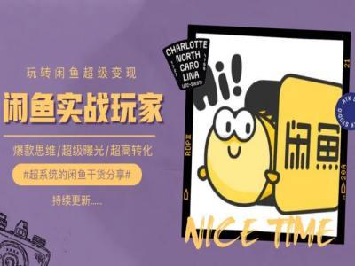 手把手教你0到1系统玩转闲鱼变现，爆款思维/超级曝光/超高转化-点子口袋网