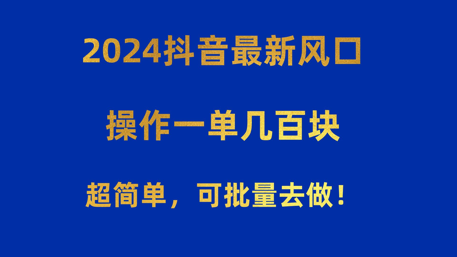 2024抖音最新风口！操作一单几百块！超简单，可批量去做！！！-点子口袋网