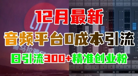 12月最新：音频平台0成本引流，日引流300+精准创业粉-点子口袋网