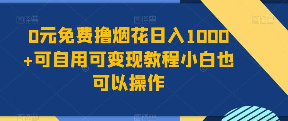 0元免费撸烟花日入1000+可自用可变现教程小白也可以操作，永久免费更新链接-点子口袋网