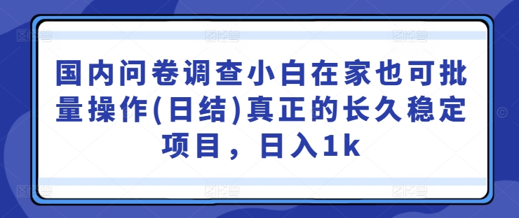国内问卷调查小白在家也可批量操作(日结)真正的长久稳定项目，日入1k【揭秘】-点子口袋网