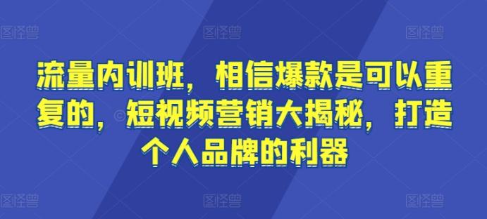 流量内训班，相信爆款是可以重复的，短视频营销大揭秘，打造个人品牌的利器-点子口袋网