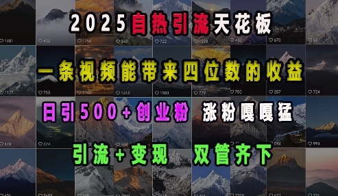 2025自热引流天花板，一条视频能带来四位数的收益，引流+变现双管齐下，日引500+创业粉，涨粉嘎嘎猛-点子口袋网
