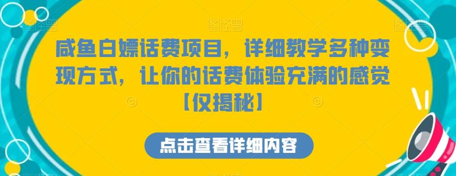 咸鱼白嫖话费项目，详细教学多种变现方式，让你的话费体验充满的感觉【仅揭秘】-点子口袋网