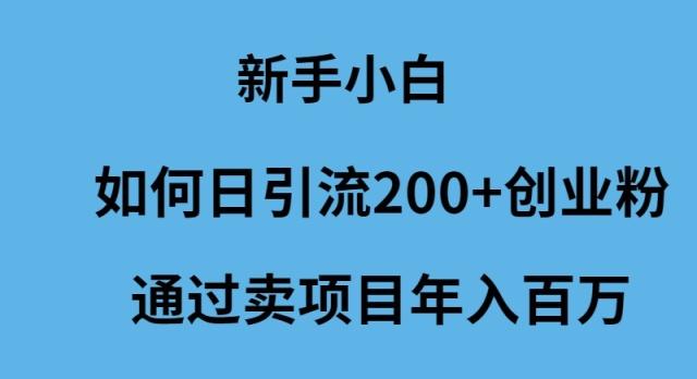 (9668期)新手小白如何日引流200+创业粉通过卖项目年入百万-点子口袋网
