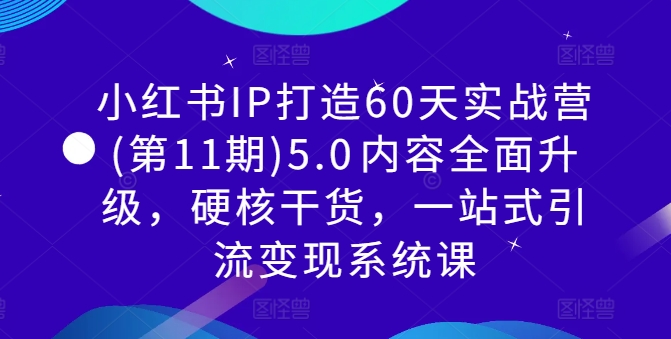 小红书IP打造60天实战营(第11期)5.0​内容全面升级，硬核干货，一站式引流变现系统课-点子口袋网
