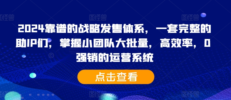 2024靠谱的战略发售体系，一套完整的助IP们，掌握小团队大批量，高效率，0 强销的运营系统-点子口袋网
