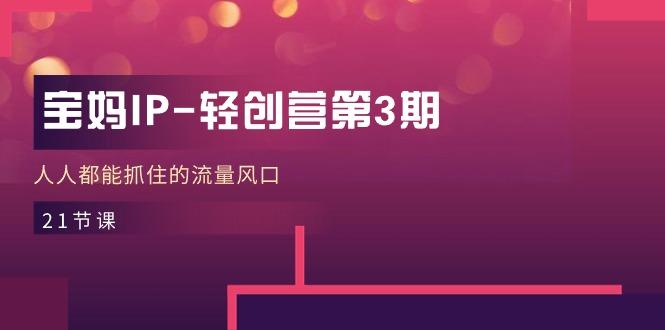 宝妈IP-轻创营第3期，人人都能抓住的流量风口(21节课-点子口袋网