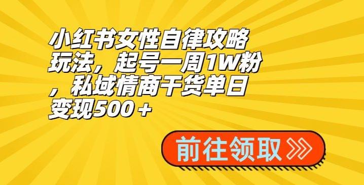 小红书女性自律攻略玩法，起号一周1W粉，私域情商干货单日变现500＋-点子口袋网