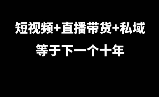 短视频+直播带货+私域等于下一个十年，大佬7年实战经验总结-点子口袋网