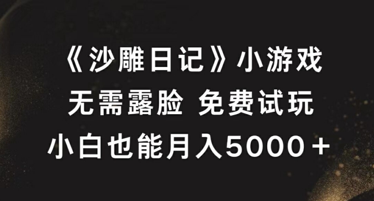 《沙雕日记》小游戏，无需露脸免费试玩，小白也能月入5000+【揭秘】-点子口袋网