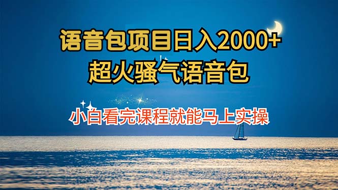 语音包项目 日入2000+ 超火骚气语音包小白看完课程就能马上实操-点子口袋网