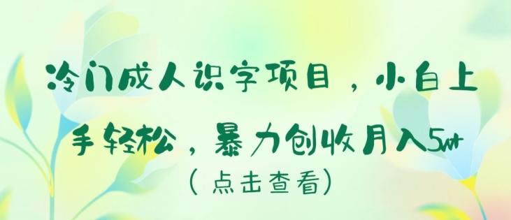 冷门成人识字项目，小白上手轻松，暴力创收月入5w+【揭秘】-点子口袋网