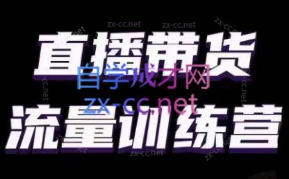 婉婉·直播带货课程系列合集(更新8月)-云创网