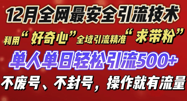 12 月份全网最安全引流创业粉技术来袭，不封号不废号，有操作就有流量【揭秘】-点子口袋网