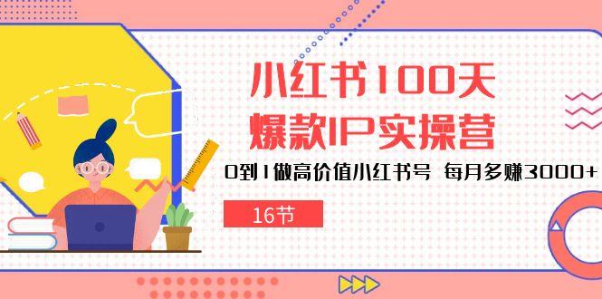 小红书100天-爆款IP实操营，0到1做高价值小红书号 每月多赚3000+(16节-点子口袋网