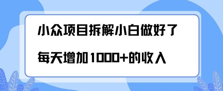 小众项目拆解，小白做好了每天可增加1000多的收入-点子口袋网