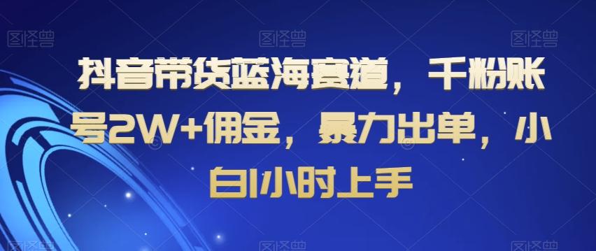 抖音带货蓝海赛道，千粉账号2W+佣金，暴力出单，小白1小时上手【揭秘】-云创网