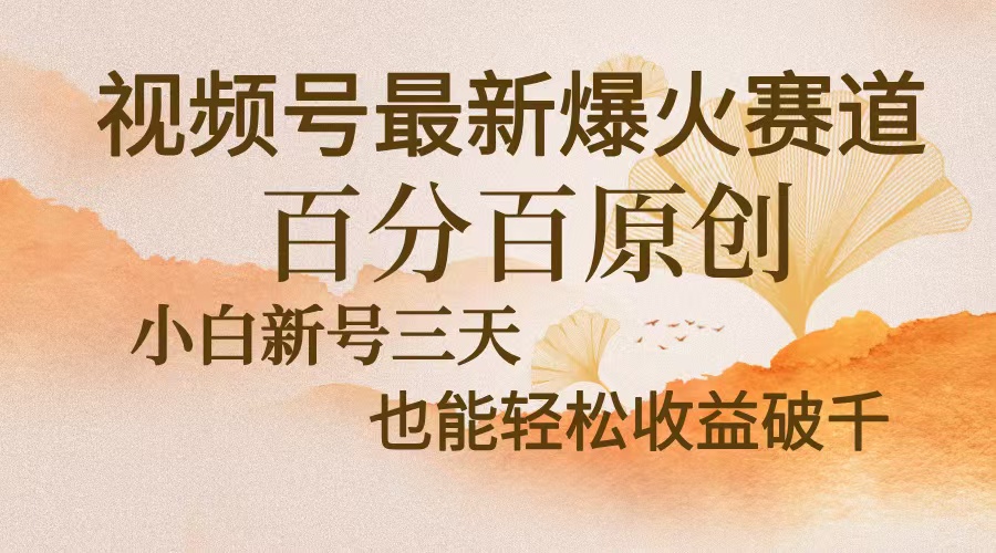 视频号最新爆火赛道，中老年粉深信不疑，百分百原创，新号三天收益轻松...-点子口袋网