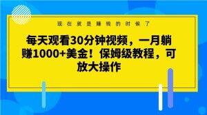 每天观看30分钟视频，一月躺赚1000+美金！保姆级教程，可放大操作【揭秘】-点子口袋网