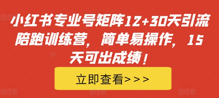 小红书专业号矩阵12+30天引流陪跑训练营，简单易操作，15天可出成绩!-点子口袋网