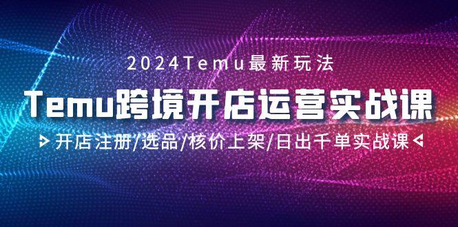2024Temu跨境开店运营实战课，开店注册/选品/核价上架/日出千单实战课-点子口袋网
