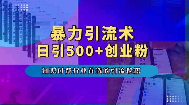 暴力引流术，专业知识付费行业首选的引流秘籍，一天暴流500+创业粉，五个手机流量接不完!-点子口袋网