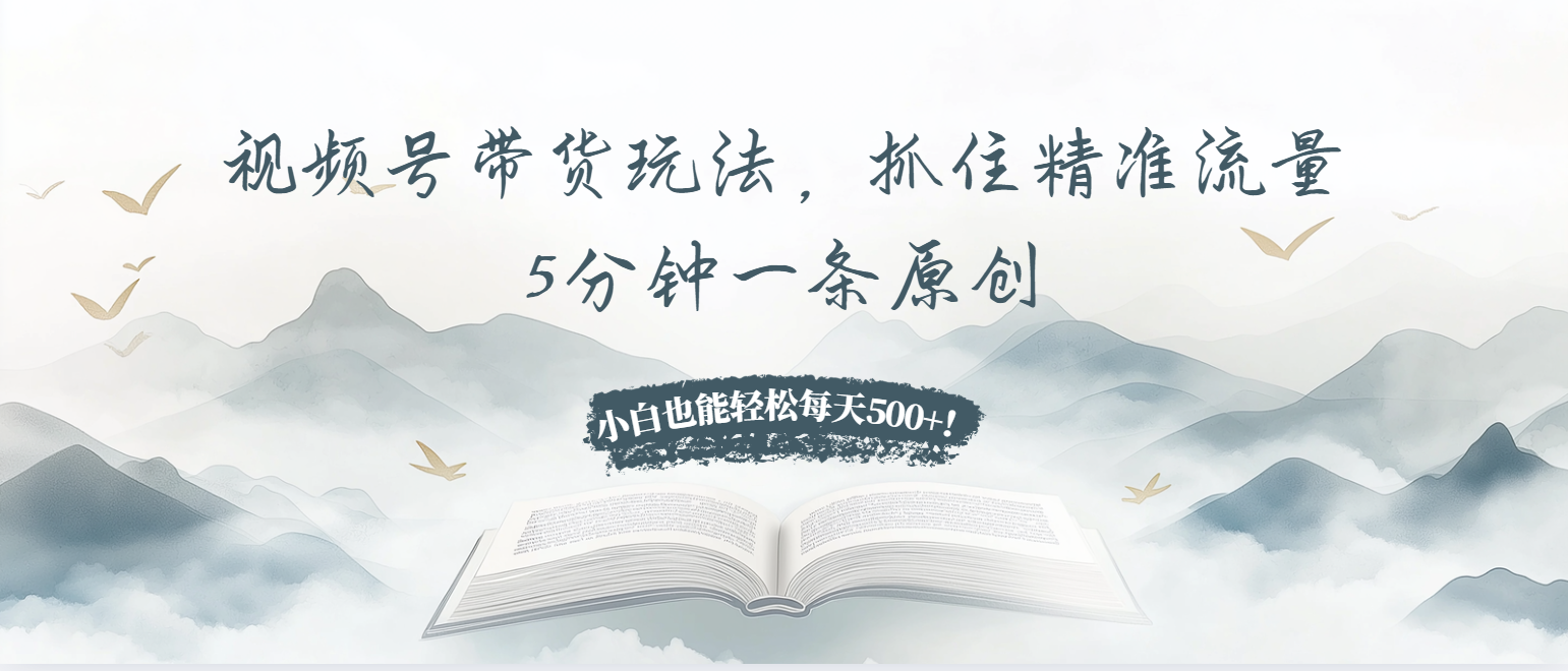 视频号带货玩法，抓住精准流量，5分钟一条原创，小白也能轻松每天500+！-点子口袋网