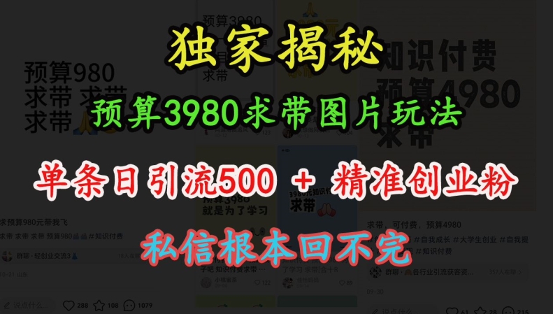 预算3980求带 图片玩法，单条日引流500+精准创业粉，私信根本回不完-点子口袋网