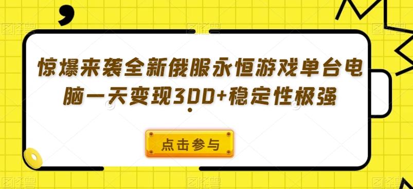 惊爆来袭全新俄服永恒游戏单台电脑一天变现300+稳定性极强-点子口袋网