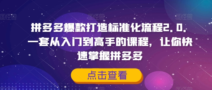 拼多多爆款打造标准化流程2.0，一套从入门到高手的课程，让你快速掌握拼多多-点子口袋网