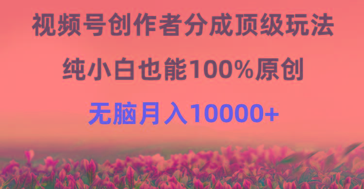 (9608期)视频号创作者分成顶级玩法，纯小白也能100%原创，无脑月入10000+-点子口袋网