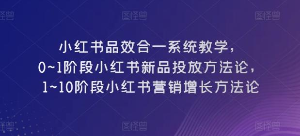 小红书品效合一系统教学，​0~1阶段小红书新品投放方法论，​1~10阶段小红书营销增长方法论-点子口袋网