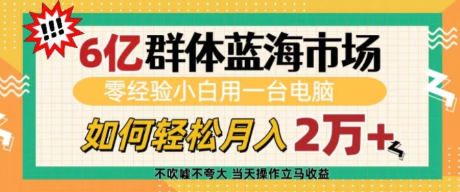 6亿群体蓝海市场，零经验小白用一台电脑，如何轻松月入过w【揭秘】-点子口袋网