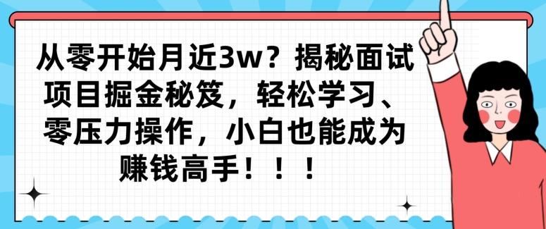 从零开始月近3w？揭秘面试项目掘金秘笈，轻松学习、零压力操作，小白也能成为赚钱高手-点子口袋网