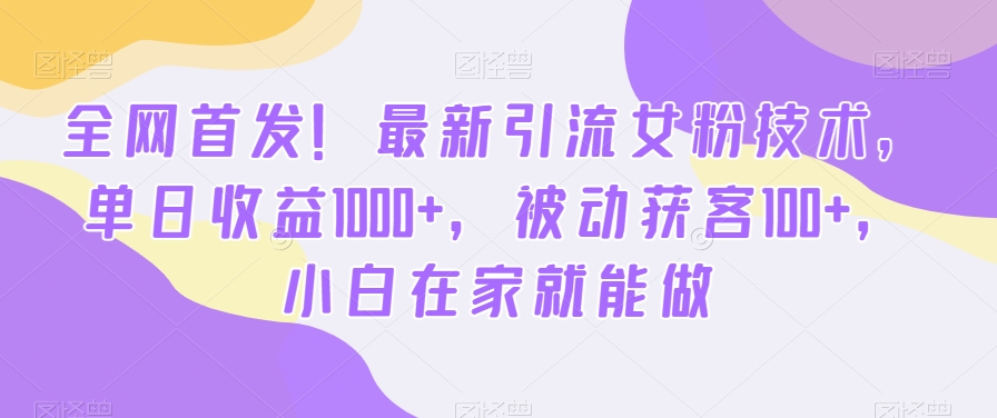 全网首发！最新引流女粉技术，单日收益1000+，被动获客100+，小白在家就能做【揭秘】-点子口袋网