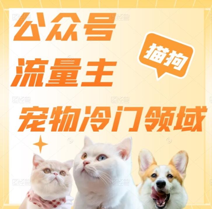 公众号流量主，萌宠冷门领域，单日收益2000+，简单暴力掘金，矩阵操作，无限放大收益！-点子口袋网