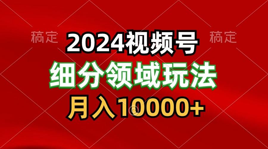 2024视频号分成计划细分领域玩法，每天5分钟，月入1W+-点子口袋网