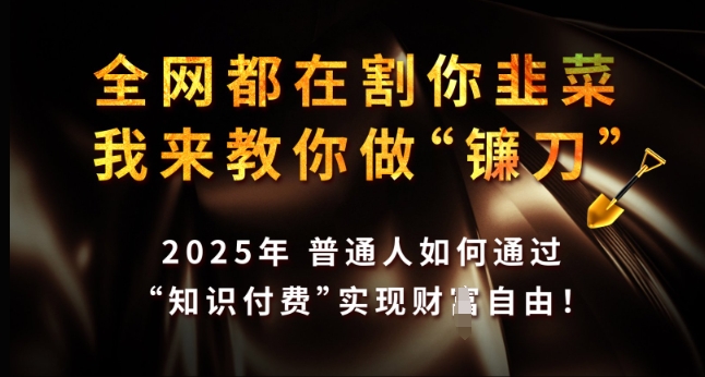 全网都在割你韭菜，我来教你做镰刀，2025年普通人如何通过 知识付费 实现财F自由【揭秘】-点子口袋网