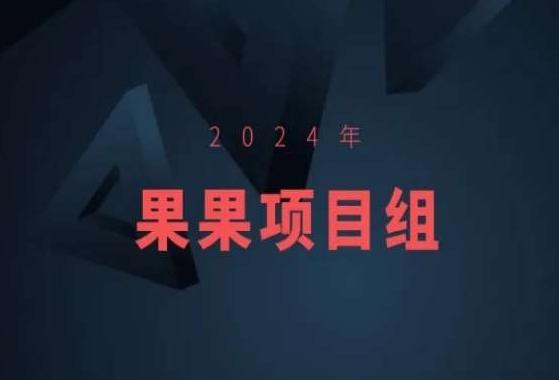 2024年果果项目组项目合集-果果最新项目-点子口袋网