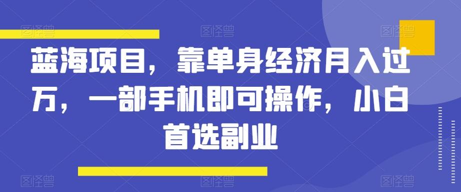 蓝海项目，靠单身经济月入过万，一部手机即可操作，小白首选副业【揭秘】-点子口袋网
