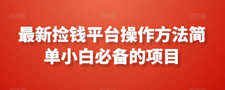 最新捡钱平台操作方法简单小白必备的项目-点子口袋网