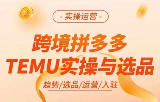跨境拼多多TEMU实操与选品，多多temu跨境选品运营实操-点子口袋网