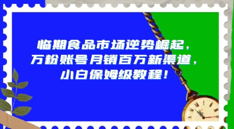 临期食品市场逆势崛起，万粉账号月销百万新渠道，小白保姆级教程【揭秘】-点子口袋网