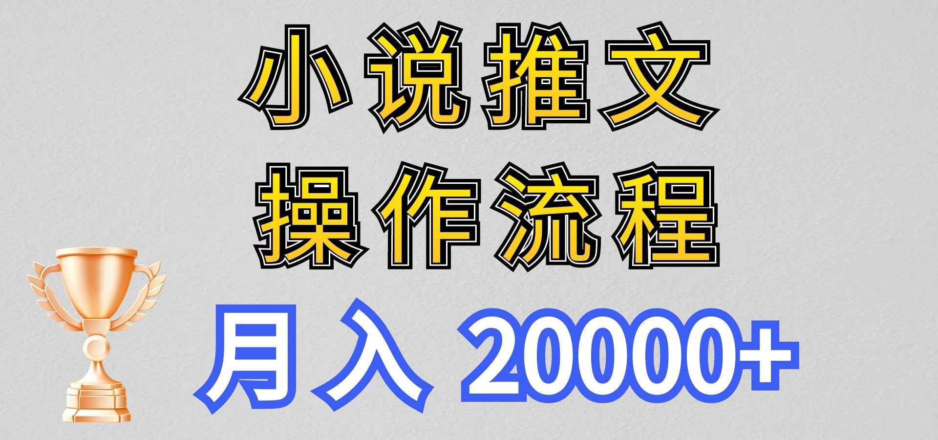小说推文项目新玩法操作全流程，月入20000+，门槛低非常适合新手-点子口袋网
