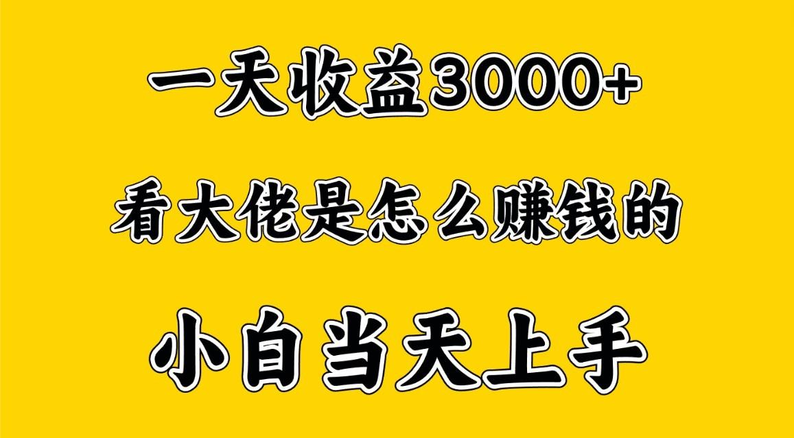 一天赚3000多，大佬是这样赚到钱的，小白当天上手，穷人翻身项目-点子口袋网