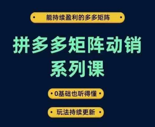 拼多多矩阵动销系列课，能持续盈利的多多矩阵，0基础也听得懂，玩法持续更新-点子口袋网